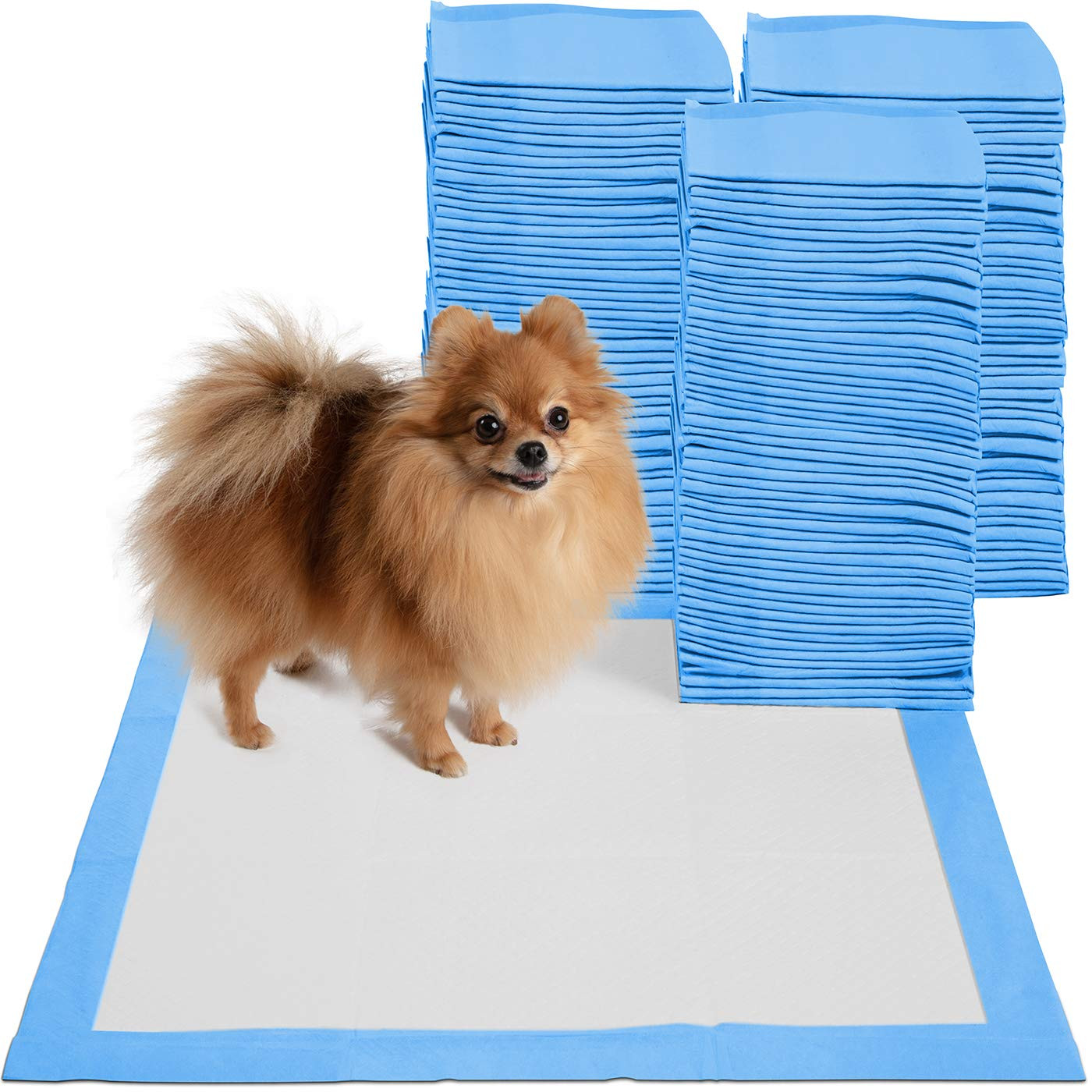 tapete x5 unidades absorbente para perro